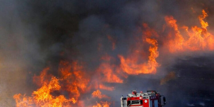 Incendie du Souk Jara à Gabès : 5 mille dinars à chacun des 41 commerçants sinistrés