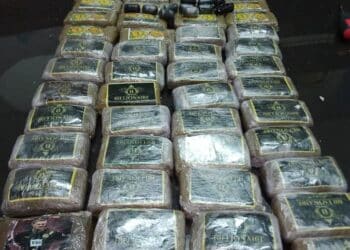 Tunisie : 6 kg de cannabis saisis au port de la Goulette