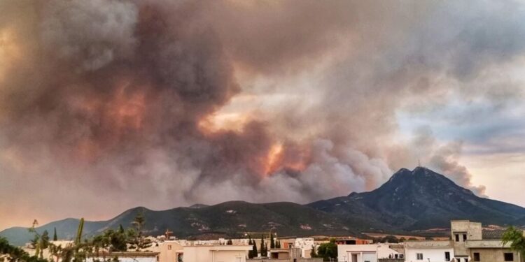 Incendie de Boukornine : L'aide algérienne mise en avant par le président Kais Saied