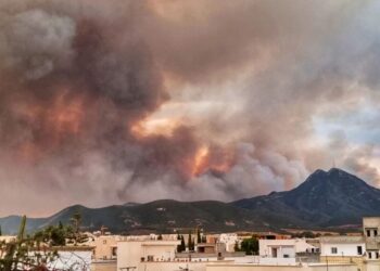 Tunisie : 533 hectares incendiés à Boukornine