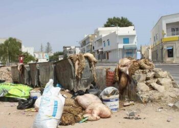 Aïd El-Idha : 40 mille tonnes de déchets