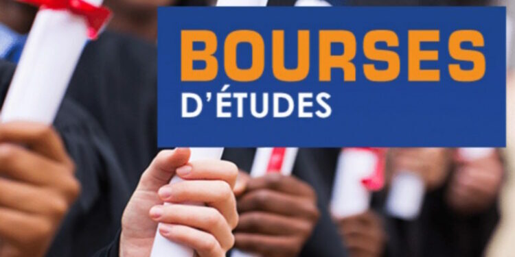 Demain, les résultats d’orientation vers les universités françaises et allemandes