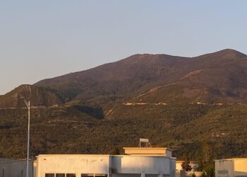 Tunisie : L'incendie &agrave; Boukornine ma&icirc;tris&eacute;