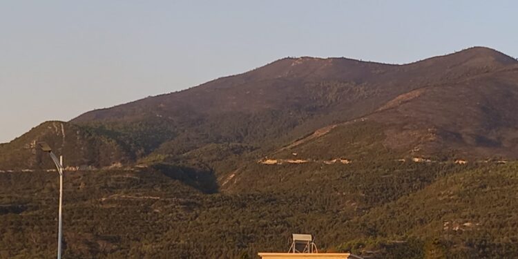 Tunisie : L'incendie à Boukornine maîtrisé