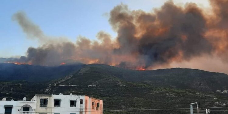 Incendie à Boukornine : Les hélicoptères de l'armée en renfort