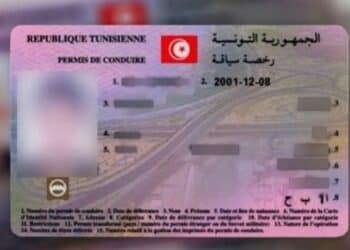 Permis de conduire : Report de la date d'entr&eacute;e en vigueur des nouvelles mesures