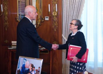 Loi &eacute;lectorale, Cour Constitutionnelle... Saied passe &agrave; la vitesse sup&eacute;rieure !