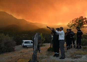 Incendie à Boukrinine : La piste criminelle n'est pas à écarter