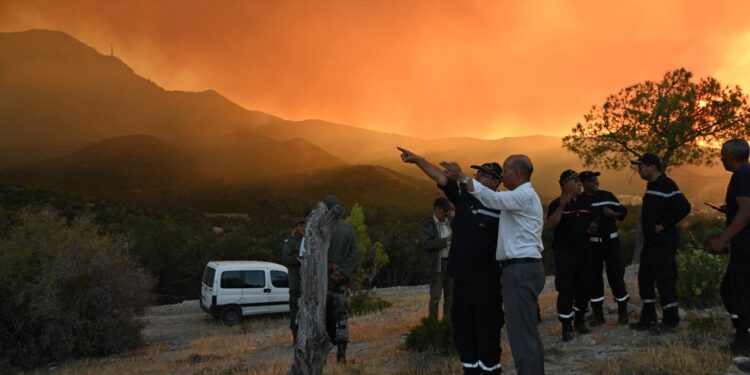 Incendie à Boukrinine : La piste criminelle n'est pas à écarter