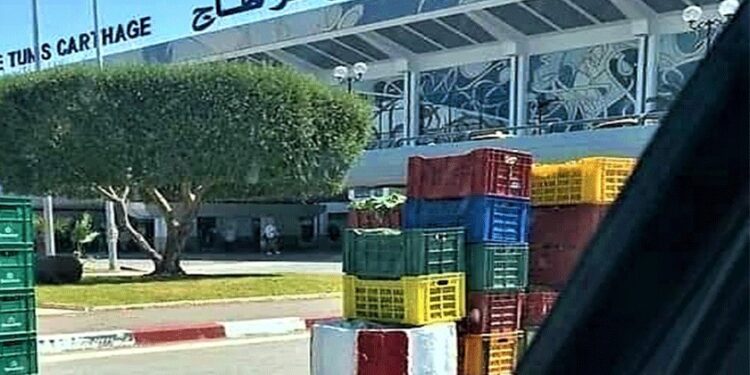 Quoi de plus à l’aéroport Tunis-Carthage ?