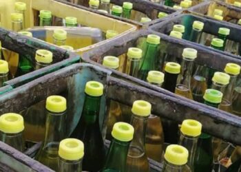 Tunisie : bientôt, réception de 15 mille tonnes d’huile végétale compensée