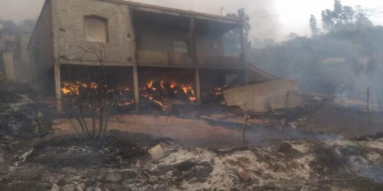 Tabarka : Incendie au Mont Breram, des maison en feu !