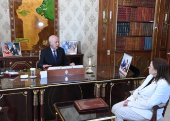 Saied : "Des crises orchestr&eacute;es pour d&eacute;stabiliser le pays"