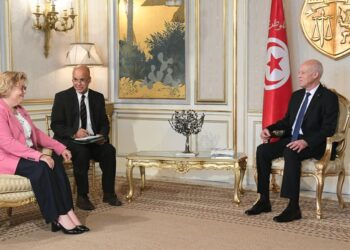 Saied juge inacceptables certaines d&eacute;clarations de responsables am&eacute;ricains