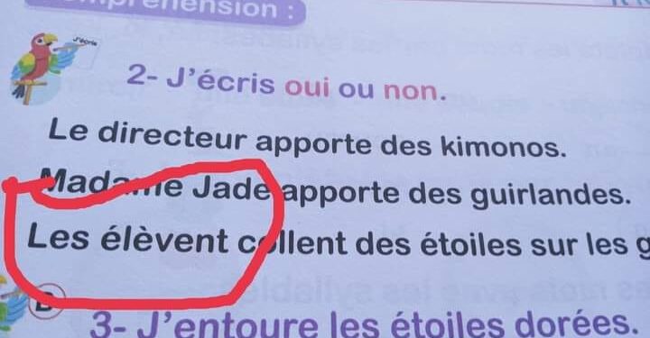 Tunisie : Enquête suite à des fautes dans un nouveau manuel scolaire de français