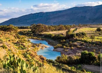 Les Espagnols de Djebel Chaambi