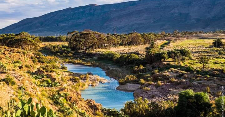 Les Espagnols de Djebel Chaambi