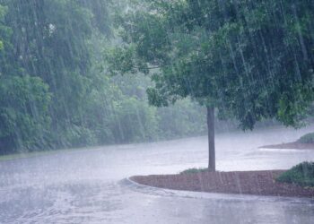 Tunisie : Pluies et orages attendus