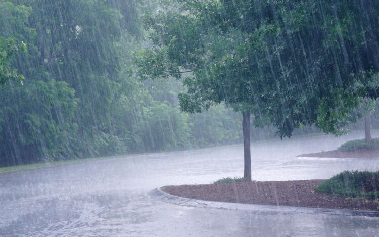 Tunisie : Pluies et orages attendus