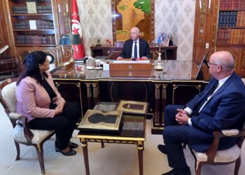 Kais Saied : "Certains ont b&eacute;n&eacute;fici&eacute; des dons octroy&eacute;s &agrave; la Tunisie"