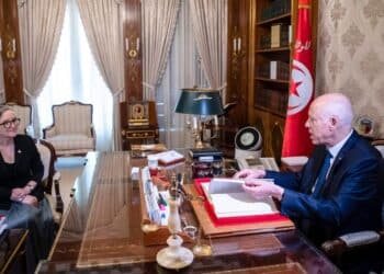 Manquements dans la gestion des pr&ecirc;ts et des dons octroy&eacute;s &agrave; la Tunisie