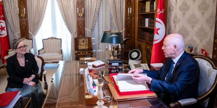 Manquements dans la gestion des prêts et des dons octroyés à la Tunisie