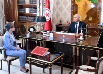 Tunisie : "Les solutions ne peuvent pas &ecirc;tre sectorielles", estime Kais Saied