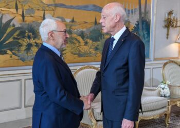 Ascension de Kais Saied &agrave; Carthage : Ennahdha s'en mord les doigts, selon Ghannouchi !