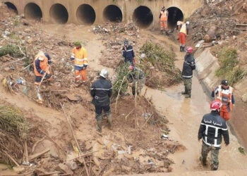 Inondations en Algérie : le corps d'une Tunisienne repêché à Oued Alek