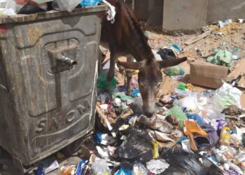 Korba : Cinqui&egrave;me jour de gr&egrave;ve des agents municipaux
