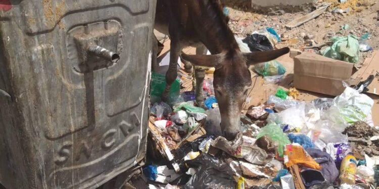 Korba : Cinquième jour de grève des agents municipaux