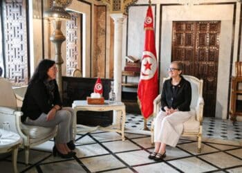 Le PNUD r&eacute;it&egrave;re son engagement &agrave; soutenir la Tunisie