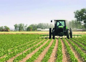 L'UTAP met en garde contre une "grave pénurie" des engrais chimiques