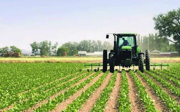 L'UTAP met en garde contre une "grave pénurie" des engrais chimiques