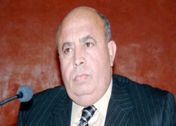 Tunisie : Abid Briki reçu par Kais Saied