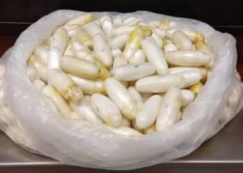 Tunis - Carthage : Saisie de coca&iuml;ne pour une valeur de 800 mille dinars