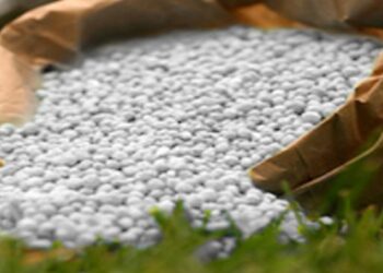 Agriculture : Les engrais chimiques disponibles en quantités suffisantes, selon le GCT