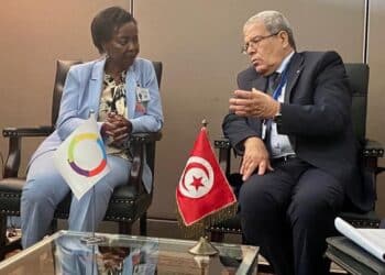 Sommet de la Francophonie : L'OIF f&eacute;licite la Tunisie pour ses efforts