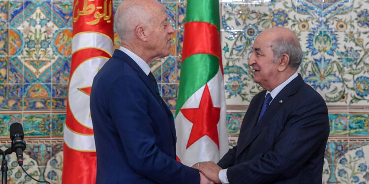 "La Tunisie sous protectorat ... de l'Algérie", selon un politologue marocain !