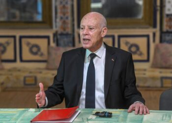 Kais Saied : "La loi électorale n'exclut aucun parti"