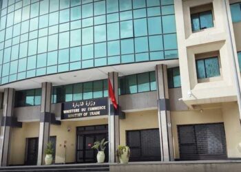 Tunisie : Les produits concernés par le contrôle préalable de l'importation