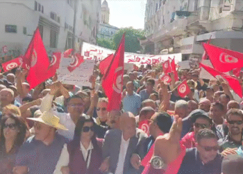 Marche protestataire du Front de salut national (vidéo)