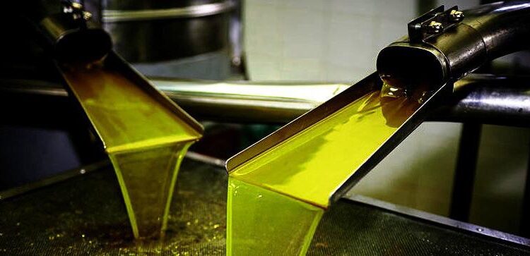 Les exportations de l’huile d’olive et des dattes atteignent 2,6 milliards de dinars