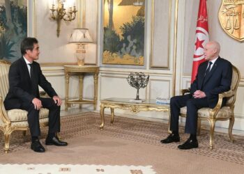 Pour Kais Saied, la Tunisie et le Japon partagent les mêmes principes