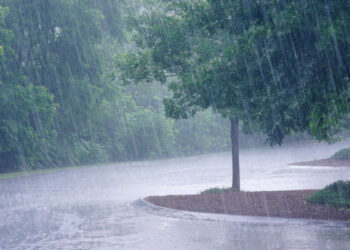 Météo : La pluie au rendez-vous