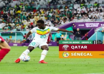 Qatar Sénégal