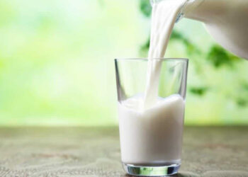 Lait