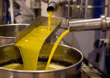 L'huile d'olive, une production en baisse