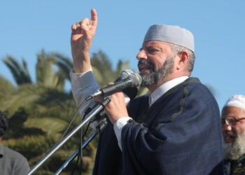 Habib Ellouze
