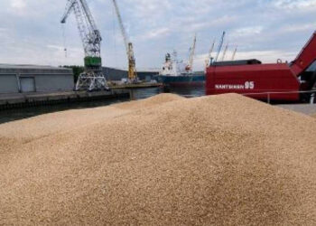Importation de 250 mille tonnes de blé